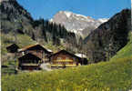 Carte Postale 74 - La Vallée D'Abondance - Chalets D'alpage Et Les Cornettes De Bise  Trés Beau Plan - Abondance