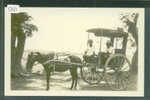 PILIPINAS - HORSE CART  - TB - Philippinen