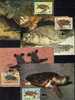 MC-Serie 1983 WWF 2 Anguilla 541/4 4x MKt. 60€ Meeres-Schildkröten Strand Naturschutz+Dokumentation Maxi-cards Of Nature - Tarjetas – Máxima
