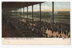 USA - NEW YORK, Belmont Park, Race Track, 1908 - Hippisme