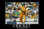 F- Ck 8 ^^  Cricket   , ( Postal Stationery , Articles Postaux ) - Cricket