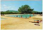 CPM 83 VIDAUBAN - La Piscine - Vidauban