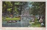 U.S.A. - MICHIGAN - DETROIT - BELLE ISLE PARK - CANAL WITH ROWERS - PICNICS - MULTI-VISITORS - DPC #6353 - Detroit