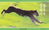 Tiger - Tigre - Tijger - A Running South China Tiger (Panthera Tigri Amoyenisis), China Prepaid Card - Tigres