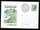 COVER ENTIER POSTAUX, BIRD CYGNUS  OLOR,1999,obliteration Concordante,postal Stationery Cover Romania. - Zwanen