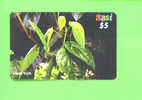 BRUNEI - Remote Phonecard As Scan - Brunei