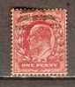 GB 1902-13  KEVII  1d (o) SG.219 - Used Stamps