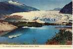 JUNEAU - ALASKA - The Beautiful Mendenhall Glacier Near Juneau, Gletscher - Juneau