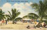 5426   Stati   Uniti     Crandon  Park  Beach  Miami"s  Newest   VGSB   1954 - Miami Beach