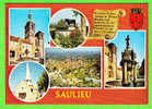 SAULIEU (CP De 5 Vues) - Saulieu