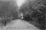 La Forêt, Avenue Du Château - Marly Le Roi