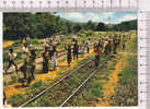 CONGO -  C.F.C.O. -   Arrivée Du Train Dans Une Halte De La Forêt Du MAYOMBE -  N° 6903 - Otros & Sin Clasificación