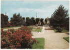 50. Cpsm. CARENTAN. Le Jardin Public. 13 - Carentan