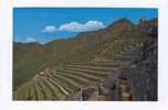 PEROU  MACHUPICCHU  Andennes Incaicos. Inca Terraces For Agriculture - Peru