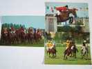 3 Cartes Chevaux Courses Polo Obstacles Hippiques-made By Kruger - Paardensport