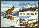 A1503 St. Moritz - Multipla / Viaggiata 1962 Timbro Pubblicitario - St. Moritz