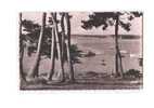 56 ILE AUX MOINES Bois D´Amour, Arrivée Du Bateau, Ed Artaud 12, CPSM 9x14, 1953 - Ile Aux Moines