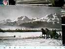 SUISSE SVIZZERA  ST MORITZ CZELERINA WINTERMORGEN SAMADEN CAVALLI HORSES SLITTA VB1910 CO10422 Pieghina - St. Moritz