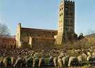 PRADES ABBAYE ST MICHEL DE CUXA - Prades