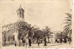 SIDI-BEL-ABBES L EGLISE ANIMEE - Sidi-bel-Abbès