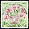 France Végétaux Fleurs N° 1930 ** Société Nationale D Horticulture - Rose - Tulipe - - Roses