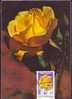 ROMANIA 1983 MAXICARD MAXIMUM CARD,with Roses.(J) - Roses