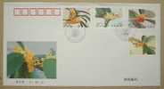 FDC China 1995-6 Sweet Osmanthus Stamps Laurel Flower Flora - 1990-1999