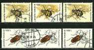 ● ROMANIA - 1996 - INSETTI - N.° 4317 / 18 Usati - Cat. ? €  - Lotto N. 402 - Used Stamps