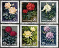 China 1984 T93 Chinese Rose Stamps Flower - Rozen