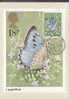 GRANDE BRETAGNE  CARTE MAXIMUM NUM.YVERT 993 PAPILLONS - Tarjetas PHQ