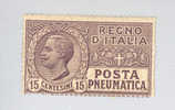 1921 Posta Pneumatica Regno Vittorio Emanuele III - C. 15 Viola NUOVO Con Minima Abrasione Sul Retro (rif.Max) - Poste Pneumatique
