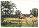 Tracteur / Tractor ; Fenaison "Groeten Uit Reusel", Vers ARNHEM, Nederland / Pays-Bas; TB - Tractors