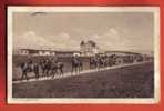 M865 Bülach Kaserne,section De Cavaliers Armée Suisse,attelages,chevaux.Cachet Militaire 1924,Militär.Guggenheim Sepia - Bülach