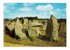 8644  ERDEVEN (56) Mégalithes De KERSERHO.(DOLMENS - MENHIRS) - Dolmen & Menhirs