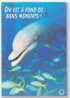 DAUPHINS - ON VIT A FOND DE BONS MOMENTS - Delfines