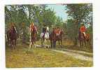 Postcard - Groeten In Lunteren, NL - Horse Show