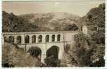 VILLEFORT 780 Habitants: Belle Vue Sur Le Pont LOUIS PHILIPPE. Carte Photo Neuve - Villefort