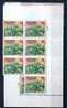 1958  TAAF  11**  X 6 Ex  Coté 14,70 = 102,90 €  Choux De Kerguélen - Unused Stamps