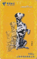 Télécarte Chine - ANIMAL Chien DALMATIEN  - DALMATIAN Dog China Phonecard - Hund Telefonkarte - 502 - China