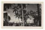 KENYA - BAMBURI, Staff, Houses, 1957 - Kenia