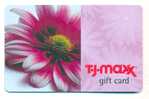 T-J-Maxx,  U.S.A. Carte Cadeau Pour Collection # 8 - Treuekarten