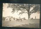 Suisse  AR  - HEIDEN ( ?? à Confirmer) - Carte Photo ( Photo Und Verlag Hausamann Heidenanimée Vache Préalpes  ) - Heiden