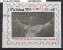 POLAND SOLIDARNOSC SOLIDARITY POPE JP2 10 YRS SINCE THE POPE'S FIRST POLISH PILGRIMMAGE (SOLID0191/0066B) - Solidarnosc Labels