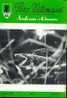 Article (8 Pages)"Un Terrain Vague Intéressant : L´ancienne Gare De Formation De STERPENICH (ARLON)" - Chemin De Fer