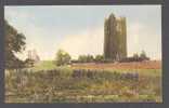Ireland Hills Of Slaine Co Meath 43884 Ruins Signal Series Postcard - Meath