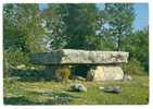 Environs De LIVERNON (46)  - CPM - Dolmen De La Pierre Martine ... Mon. Hist. ... Table Mesurant 3x7m. - Livernon