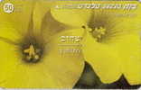 # ISRAEL 211 Yellow Anemone 50 Landis&gyr 01.99 -fleurs,flowers- Tres Bon Etat - Israel