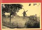 BELGIQUE COQ SUR MER LE MOULIN BELLE CARTE - De Haan