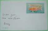 USA Postcard Fish - Lettres & Documents