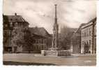 ALTKIRCH -  ** FONTAINE DE LA VIERGE Et RESTAURANT  A LA CIGOGNE **  -  Editeur  LA CIGOGNE De Strasbourg   N° 68.004.16 - Altkirch